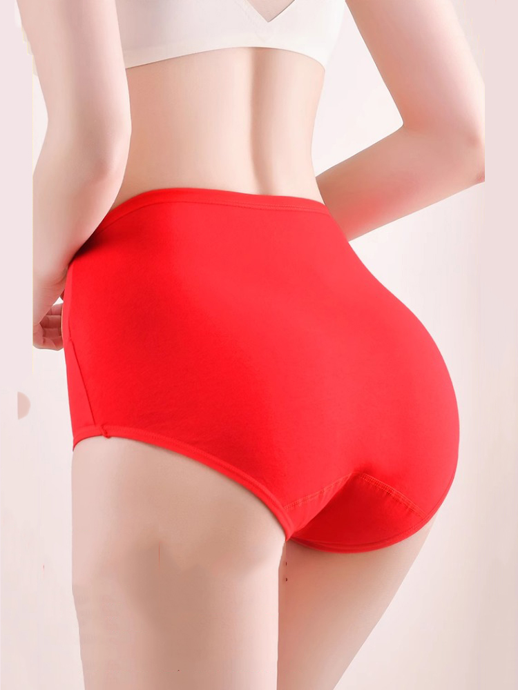 4 stks/set Katoen Vrouwen Slip - Lingerie recensie en prijs