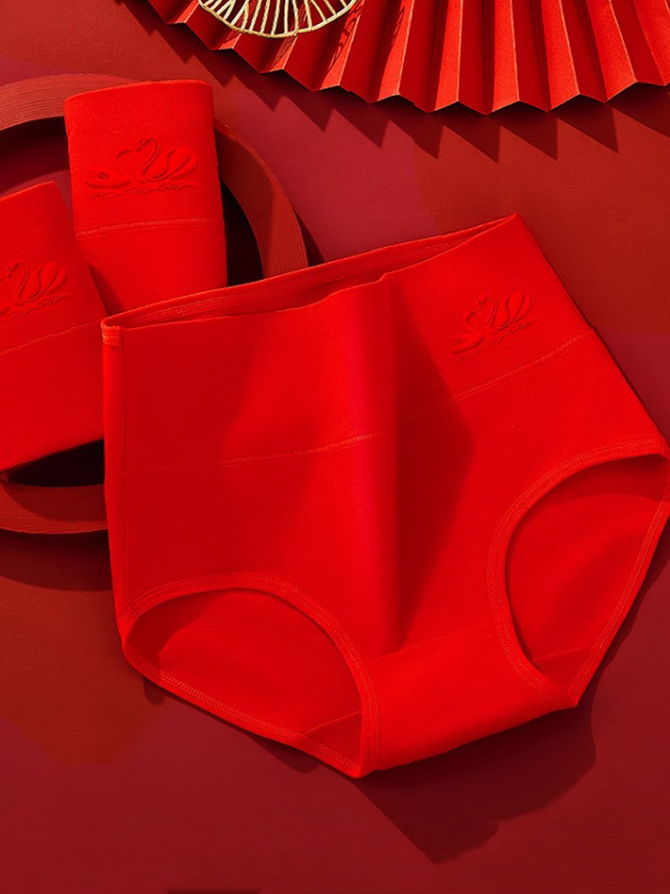 4 stks/set Katoen Vrouwen Slip - Lingerie recensie en prijs